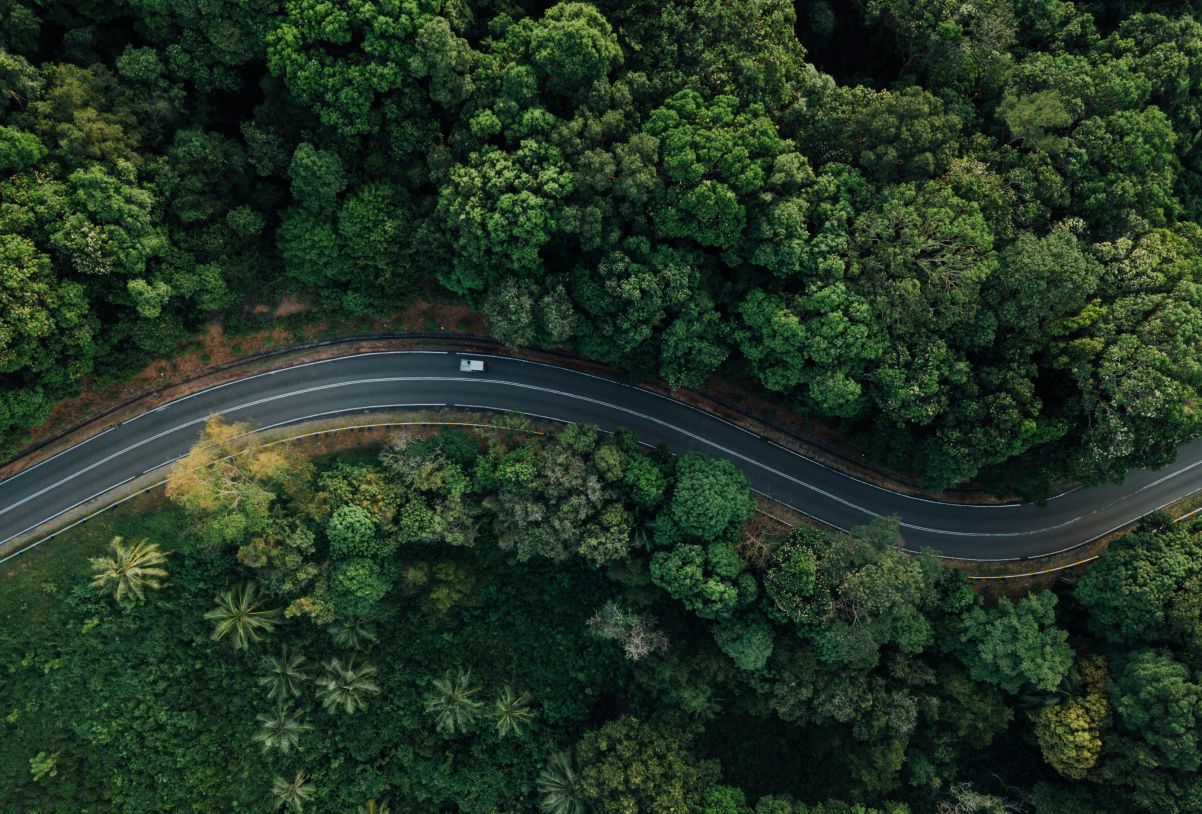 Winding road and trees